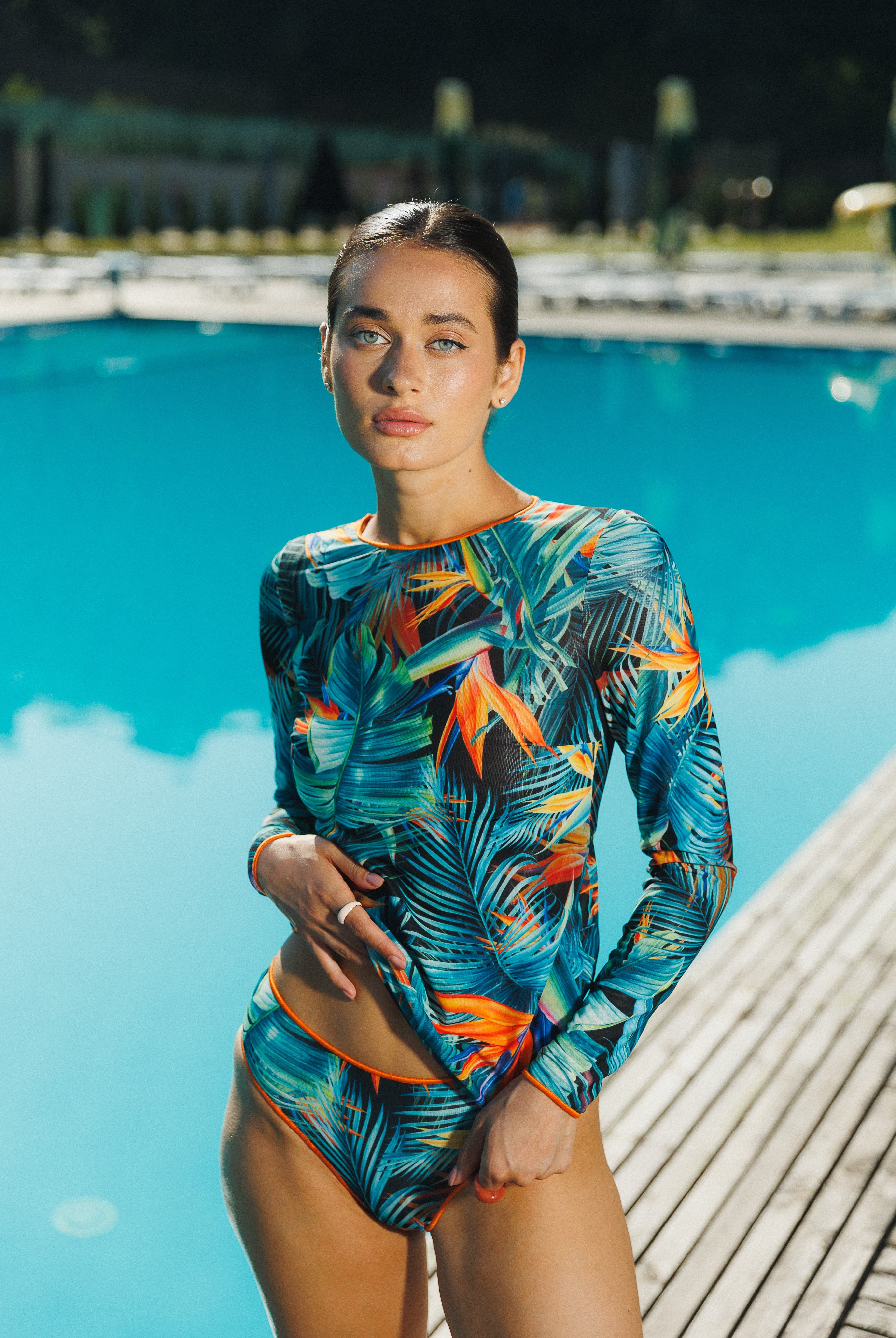 #color_bird-of-paradise