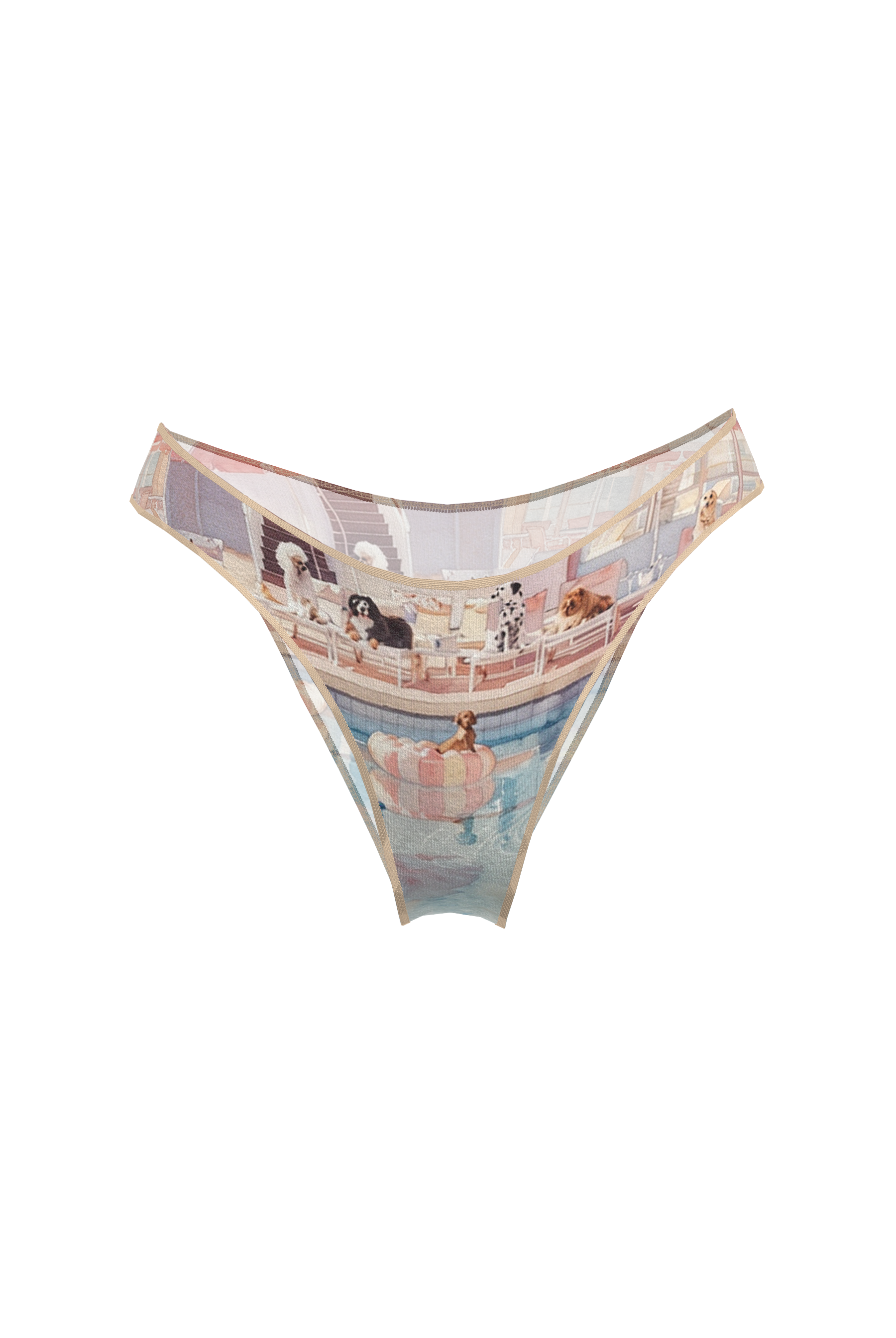 Плавки Casablanca