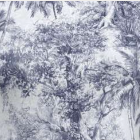 Tropical forest with dense trees and underbrush