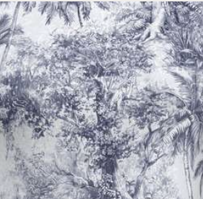 Tropical forest with dense trees and underbrush